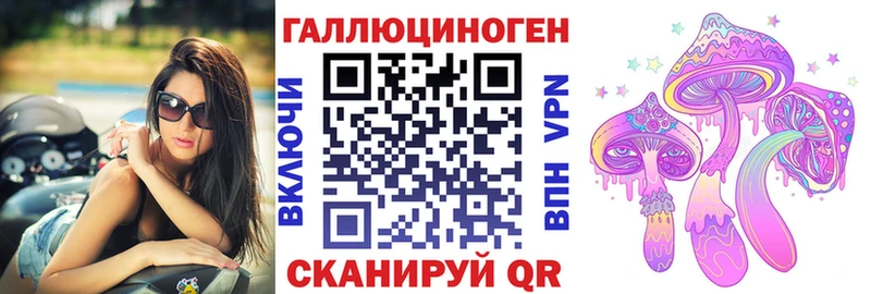 как найти закладки гидра вход Псилоцибиновые грибы GOLDEN TEACHER Александровское